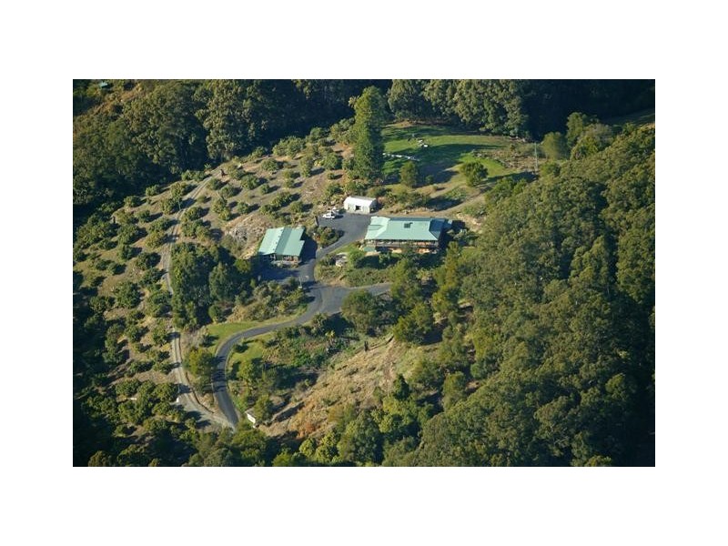 221 Bennetts Road, Coffs Harbour NSW 2450
