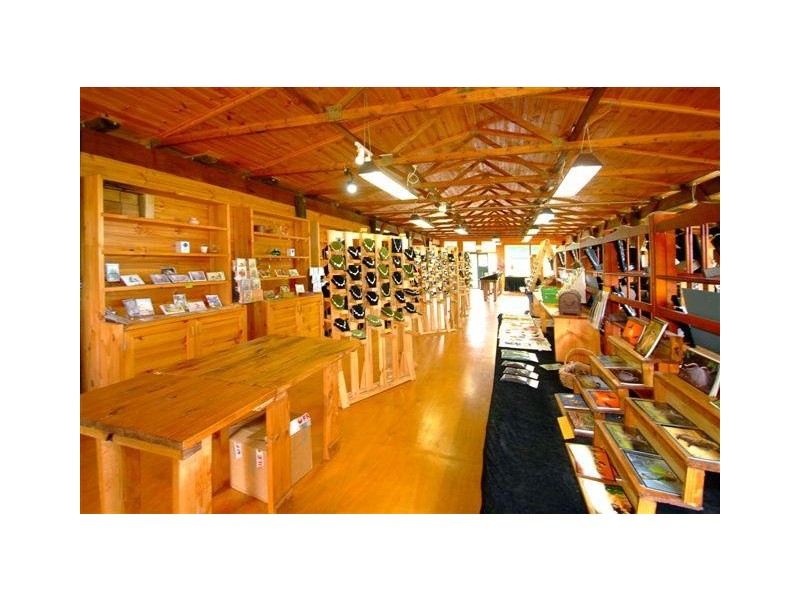 221 Bennetts Road, Coffs Harbour NSW 2450