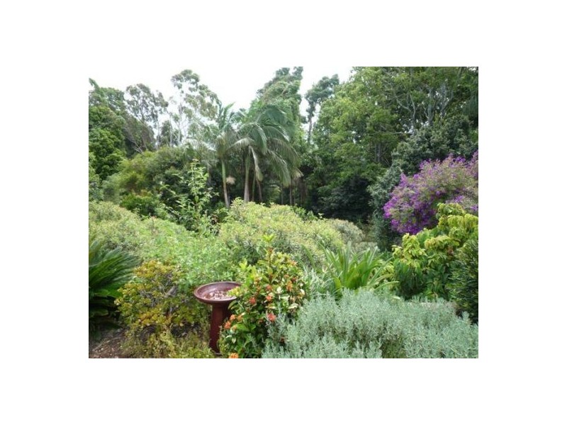 1 Koel Place, Boambee East NSW 2452