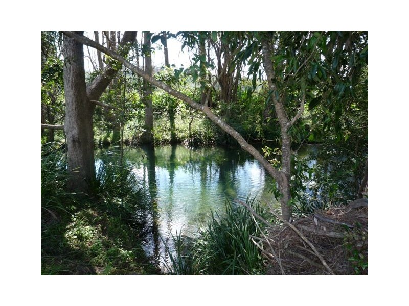 380 South Island Loop Road, Upper Orara NSW 2450