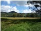 380 South Island Loop Road, Upper Orara NSW 2450