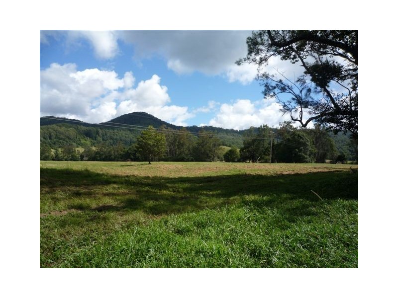 380 South Island Loop Road, Upper Orara NSW 2450