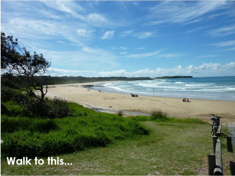 56 Dammerel Crescent, Emerald Beach NSW 2456