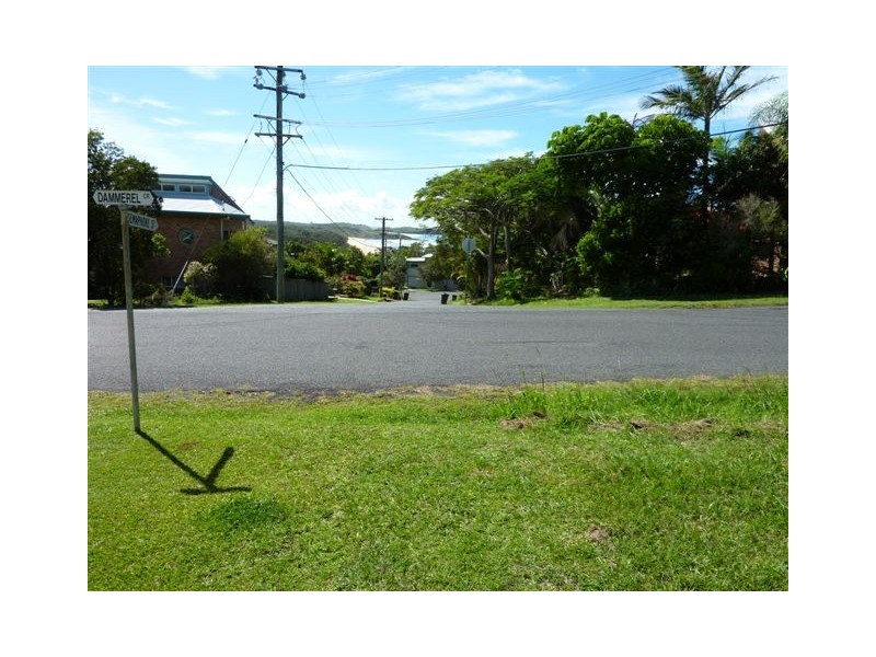 56 Dammerel Crescent, Emerald Beach NSW 2456