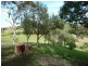 210 Gleniffer Road, Bonville NSW 2441