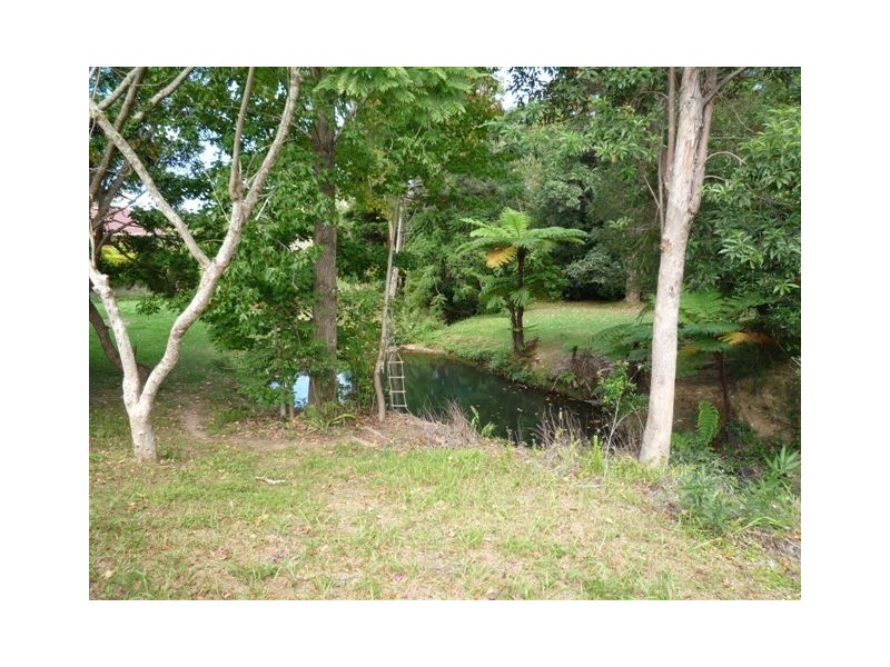 113 Bray Street, Coffs Harbour NSW 2450