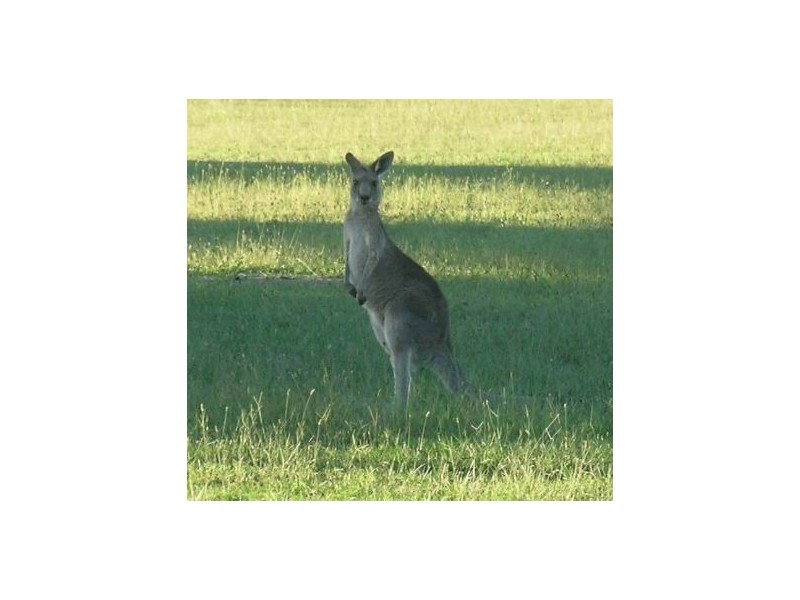 Lot 59 Estuary Drive Moonee Beach, Coffs Harbour NSW 2450