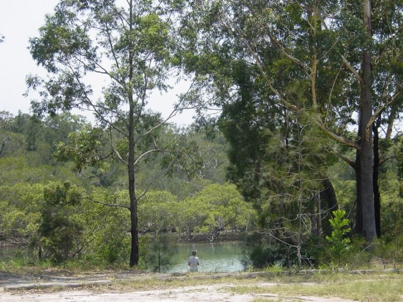 Lot 57 Estuary Drive Moonee Beach, Coffs Harbour NSW 2450