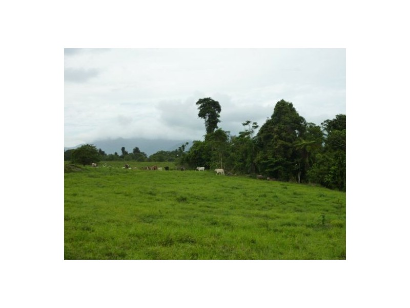 Lot 12 Healy road, Babinda QLD 4861