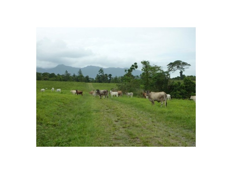 Lot 12 Healy road, Babinda QLD 4861