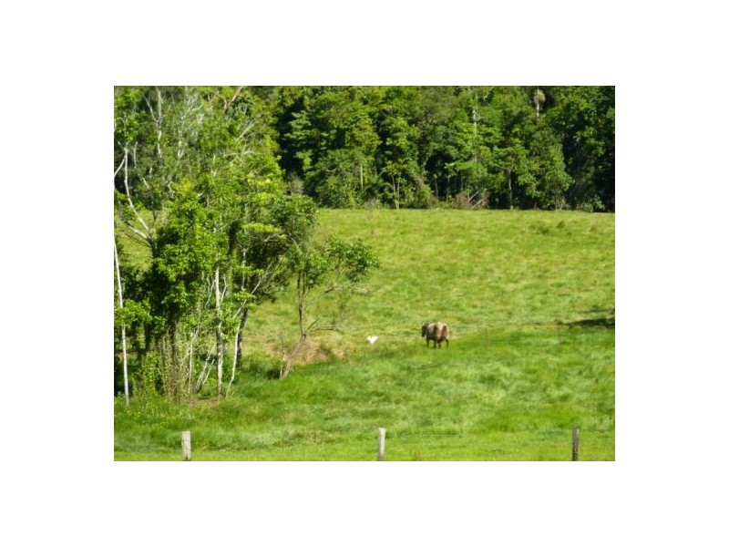 108 Eubenangee Road, Eubenangee QLD 4860