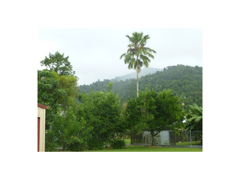 14 Knowles Street, Babinda QLD 4861