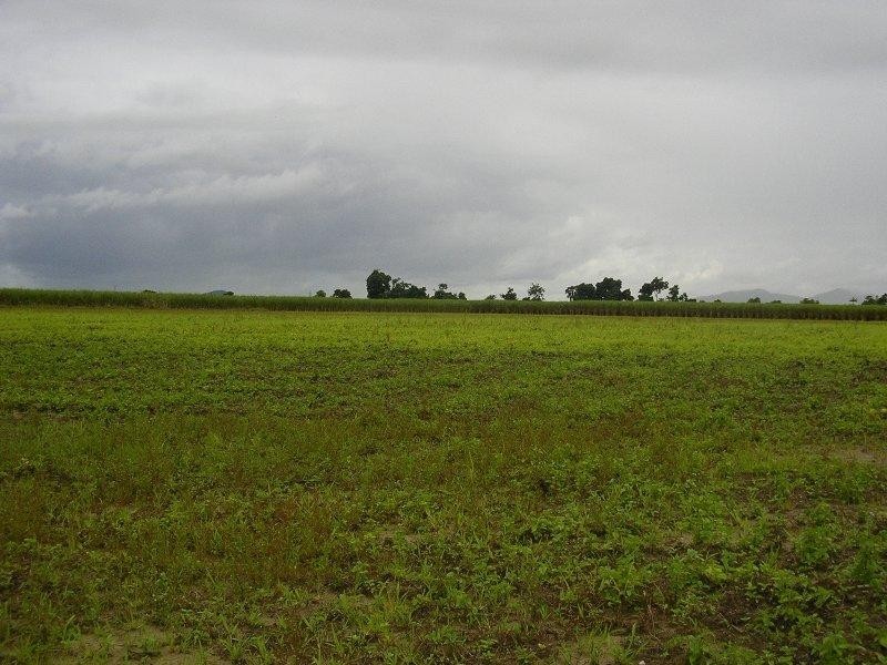 Babinda QLD 4861