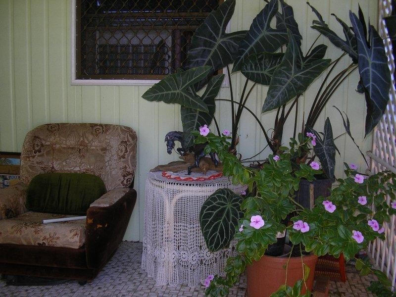 Bramston Beach QLD 4871