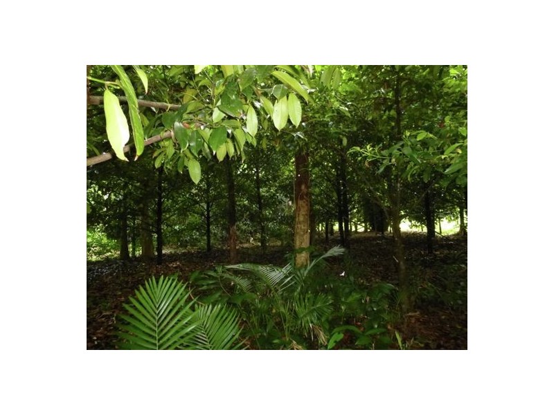 Woopen Creek QLD 4871