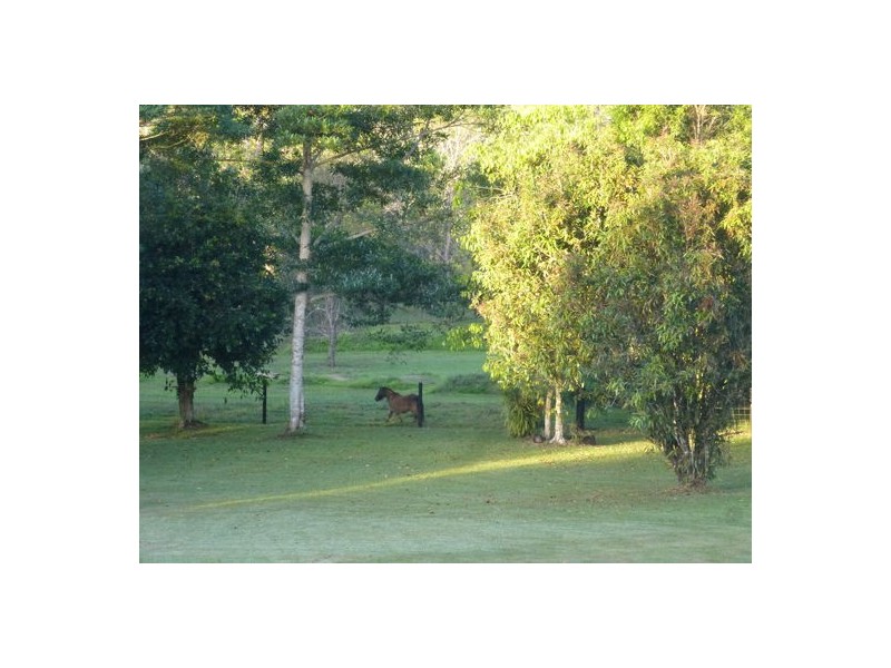 14 O’Connor Drive, Garradunga QLD 4860