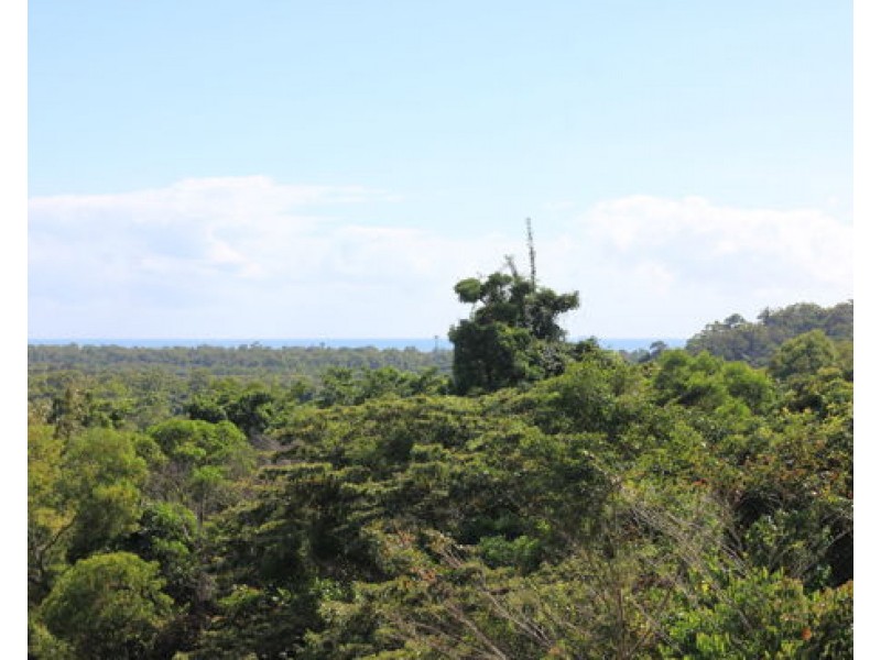 1458 Bramston Beach Road, Bramston Beach QLD 4871