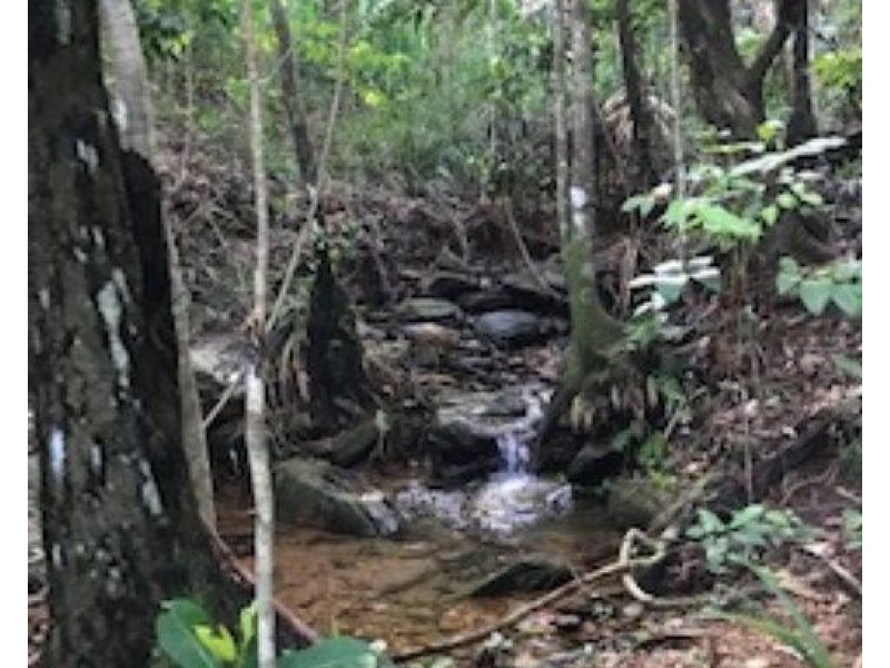 1458 Bramston Beach Road, Bramston Beach QLD 4871