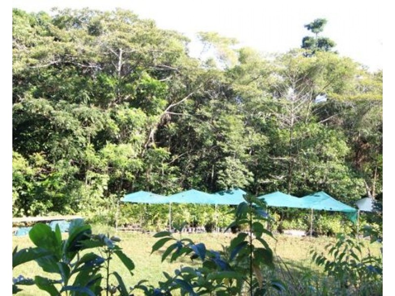 1458 Bramston Beach Road, Bramston Beach QLD 4871