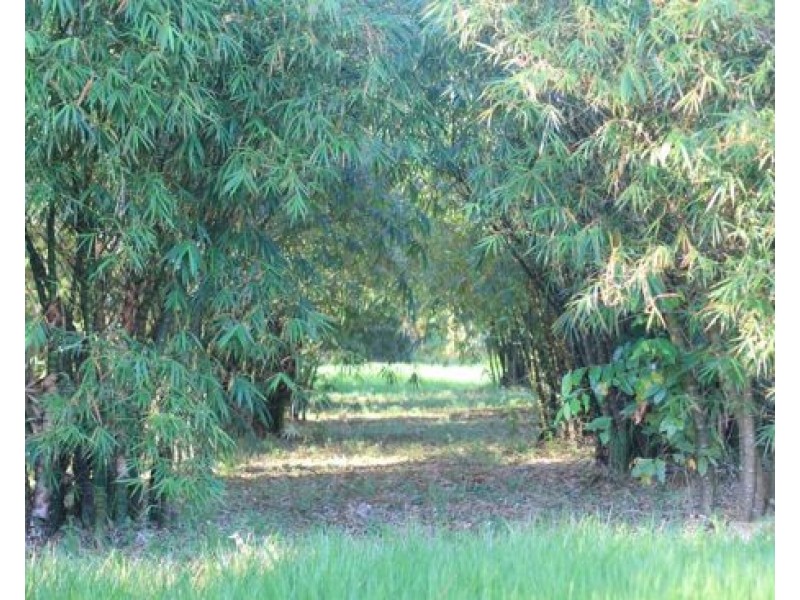 1458 Bramston Beach Road, Bramston Beach QLD 4871