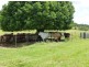 Babinda QLD 4861