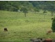 Babinda QLD 4861