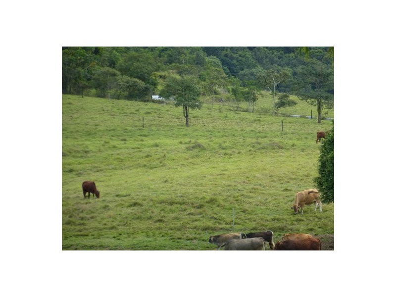 Babinda QLD 4861