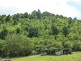 Babinda QLD 4861