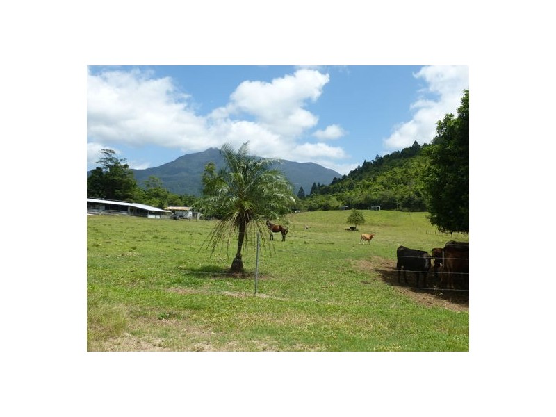 Babinda QLD 4861