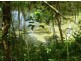 0 Boulders Road, Babinda QLD 4861