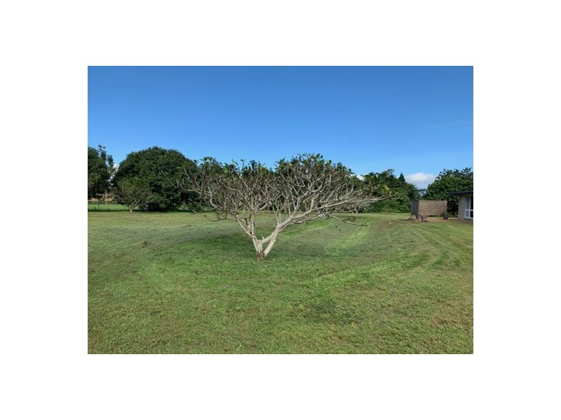 27 Martinuzzi Close, Mourilyan QLD 4858