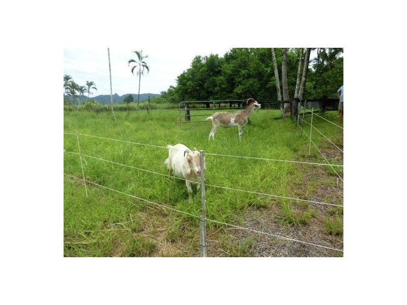 Babinda QLD 4861