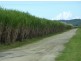 Babinda QLD 4861