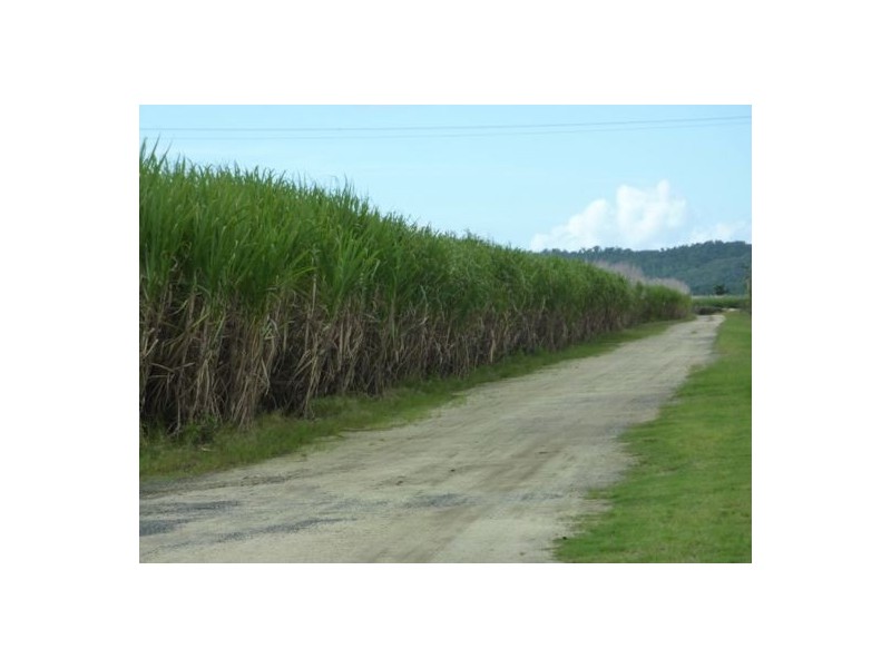Babinda QLD 4861