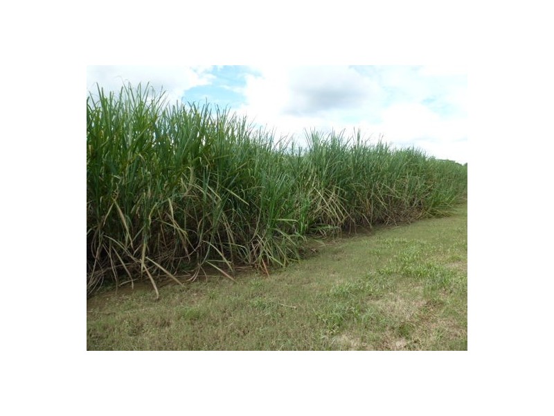 2233 Clyde Road, Babinda QLD 4861