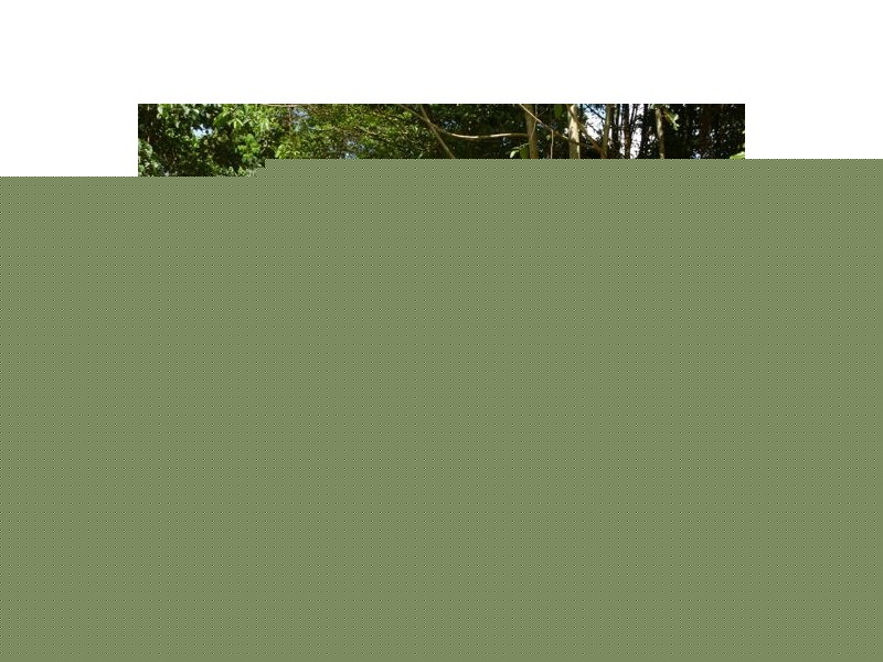 1 The Boulders Road, Babinda QLD 4861