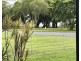 87 Evans Road,, Bramston Beach QLD 4871