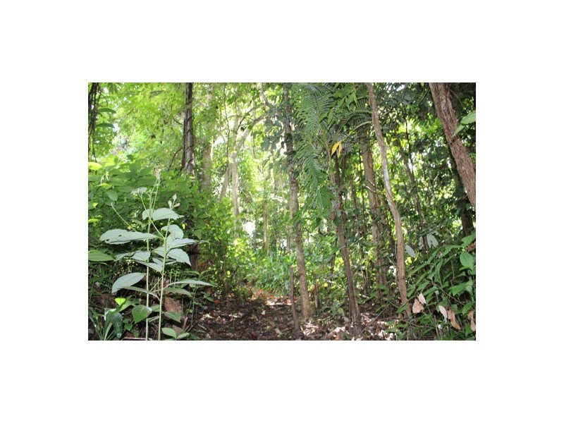 29 Parry Street, Babinda QLD 4861