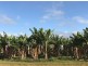 Eubenangee QLD 4860
