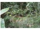 52 Christian Street, Babinda QLD 4861