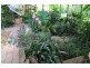 27 Parry Street, Babinda QLD 4861