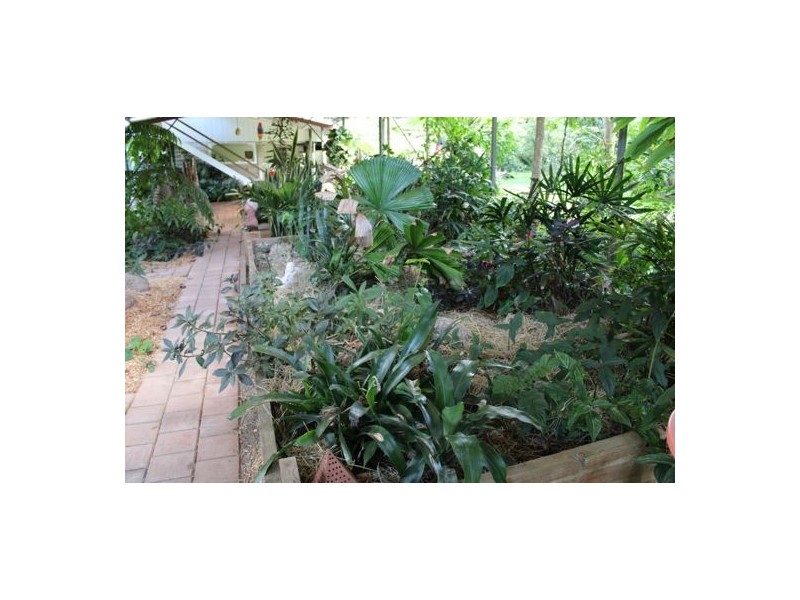 27 Parry Street, Babinda QLD 4861