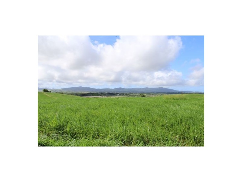 Fitzgerald Creek QLD 4860