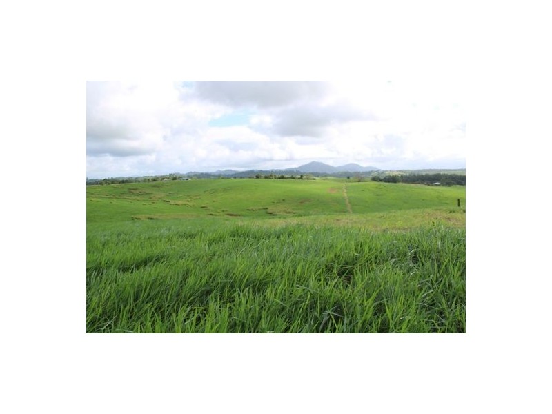 Fitzgerald Creek QLD 4860