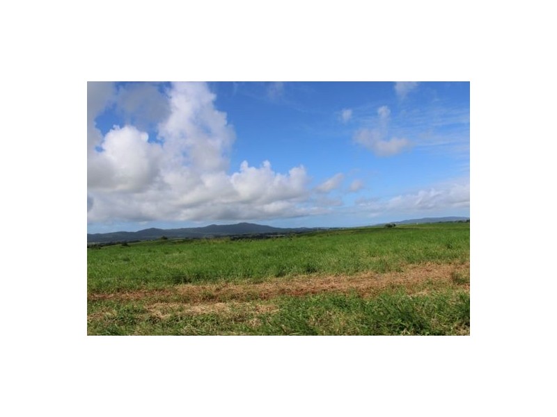 Fitzgerald Creek QLD 4860