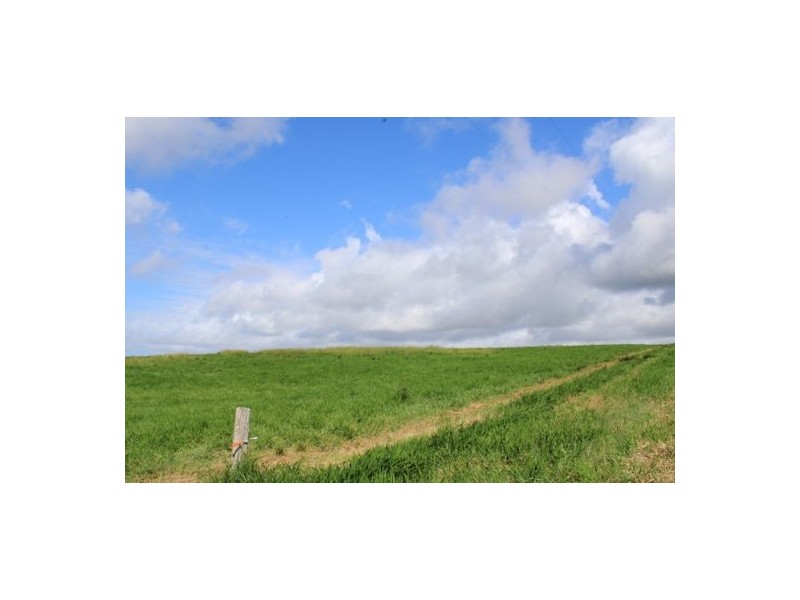 Fitzgerald Creek QLD 4860