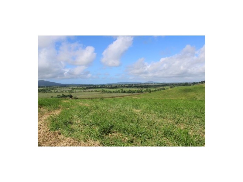 Fitzgerald Creek QLD 4860