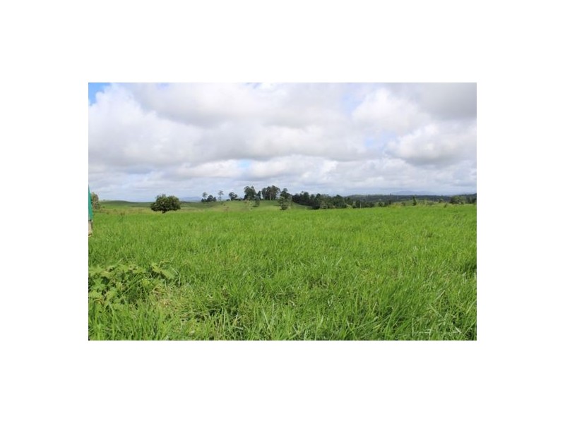 Fitzgerald Creek QLD 4860