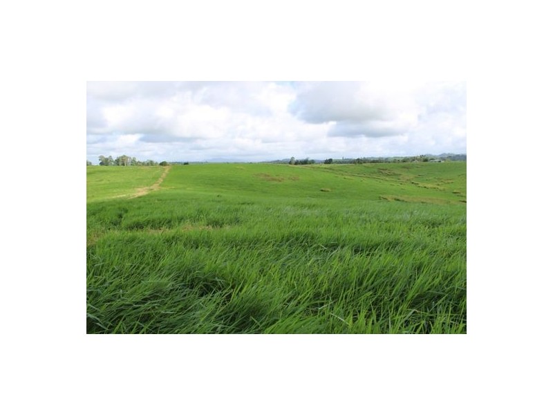 Fitzgerald Creek QLD 4860