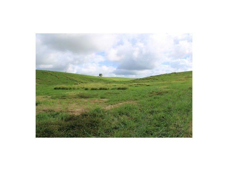 Fitzgerald Creek QLD 4860